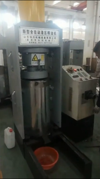 新型液壓榨油機壓榨紫蘇